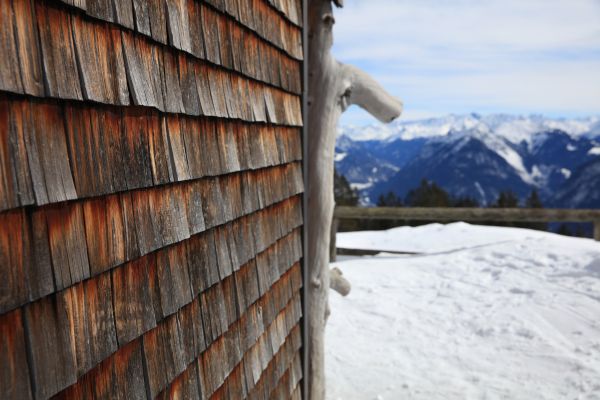 Cedar Siding Repair in Renton