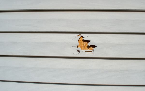 Siding Hole Patching in Renton