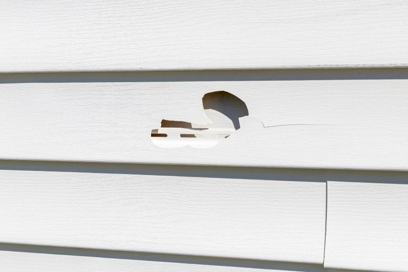 Vinyl Siding Fixing Cracks